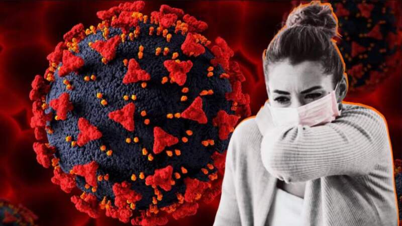 La ANLIS Malbrán detectó tres casos de influenza A (H3N2) subclado K en Argentina imagen-14