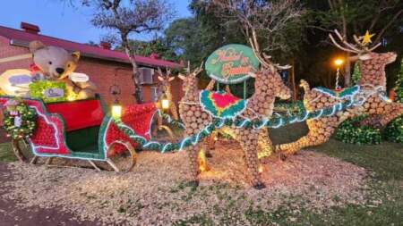 Capioví volvió a coronarse en medios nacionales como el pueblo más navideño del país imagen-11