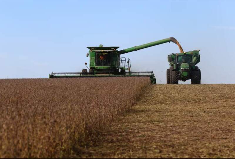 El agro liquidó más de USD 1.000 millones en diciembre y cierra el 2025 con el mayor ingreso de dólares en dos años imagen-9