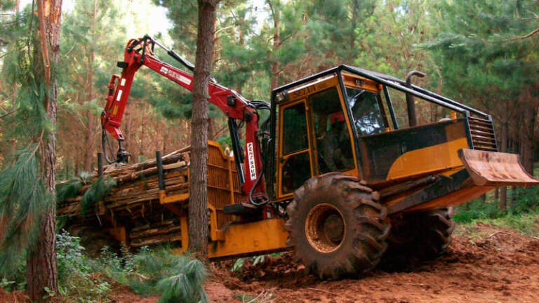 El RENATRE certificó en Prácticas Laborales Sostenibles a la primera empresa forestal del país y de Misiones imagen-6