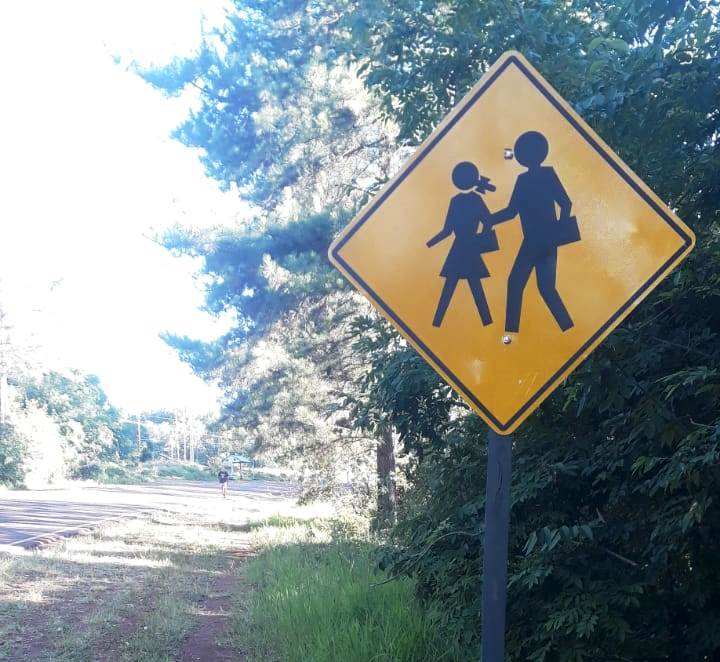 Vialidad provincial repuso e incorporó nuevas señales en rutas misioneras 3 Vialidad provincial repuso e incorporó nuevas señales en rutas misioneras imagen-2