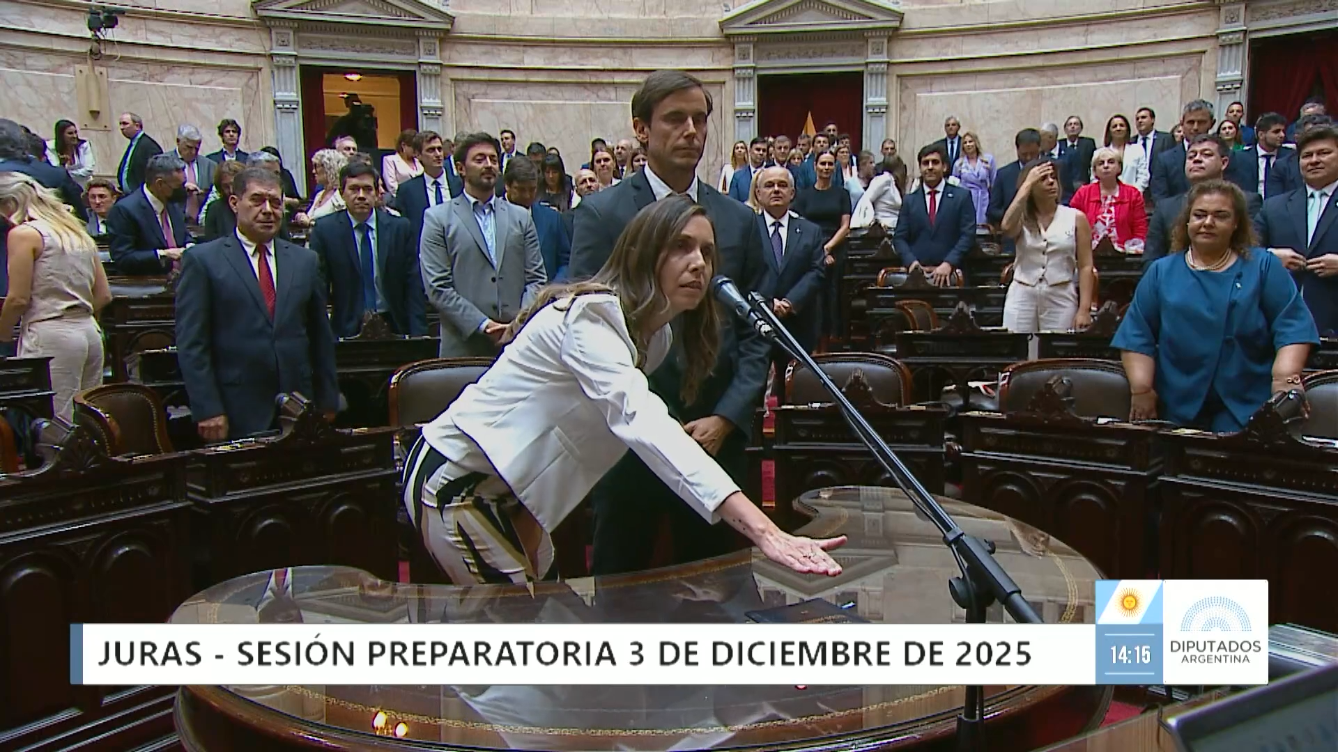 Congreso: juraron los Diputados Nacionales por Misiones Herrera Ahuad, Hartfield y Gruber imagen-9