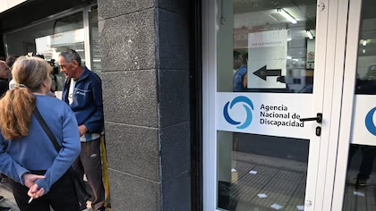 El Gobierno asegura haber detectado 180 mil personas que figuran fallecidas con el certificado de discapacidad imagen-5