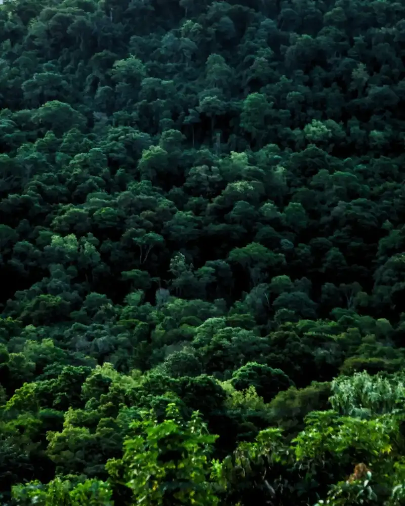 Passalacqua destacó el mirador de Almafuerte y los paisajes de las rutas misioneras imagen-8