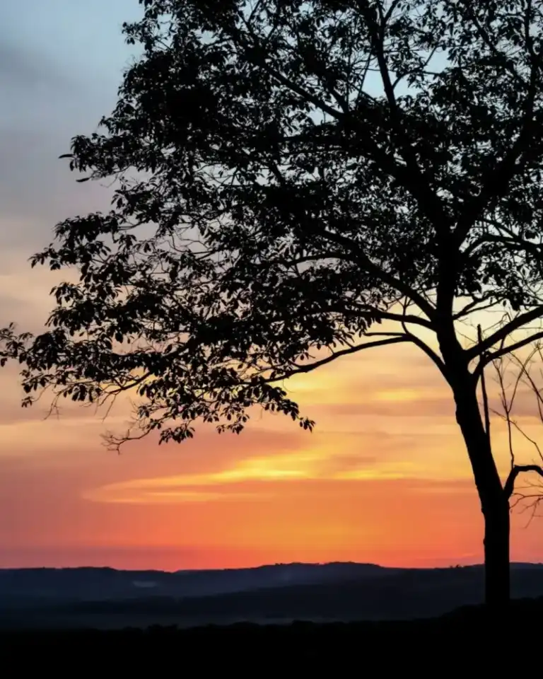 Passalacqua destacó el mirador de Almafuerte y los paisajes de las rutas misioneras imagen-44
