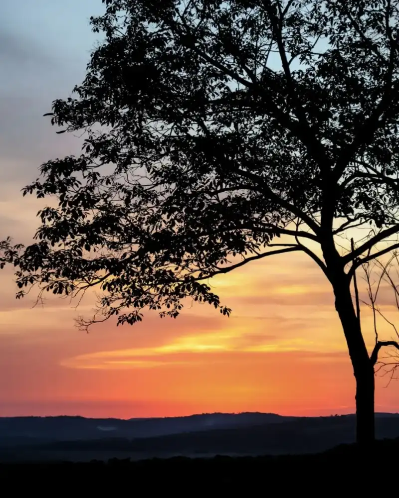 Passalacqua destacó el mirador de Almafuerte y los paisajes de las rutas misioneras imagen-12