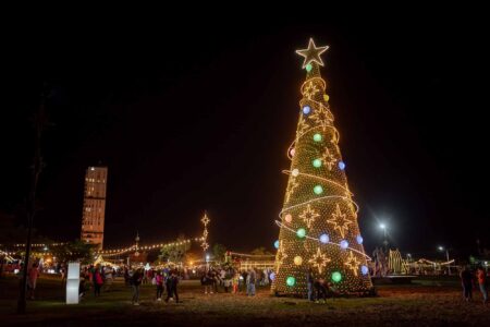 Reprograman el encendido del Árbol Navideño en Posadas: será el martes con la ornamentación artesanal hecha con materiales reciclables imagen-15