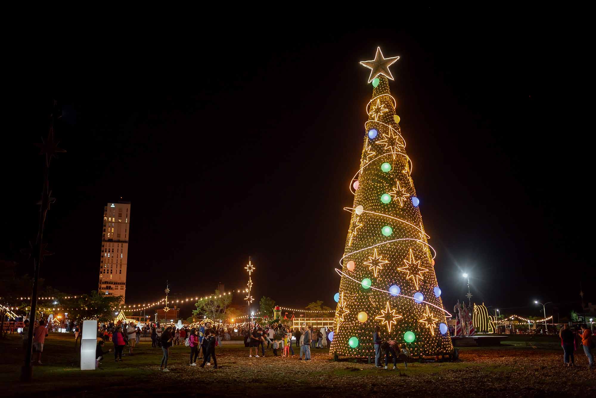 Reprograman el encendido del Árbol Navideño en Posadas: será el martes con la ornamentación artesanal hecha con materiales reciclables imagen-16