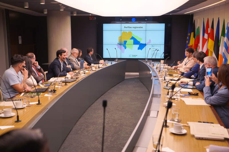 Un termómetro del desarrollo: presentan un índice que muestra el lugar de Misiones entre las provincias para invertir de forma fácil, segura y sostenible imagen-20