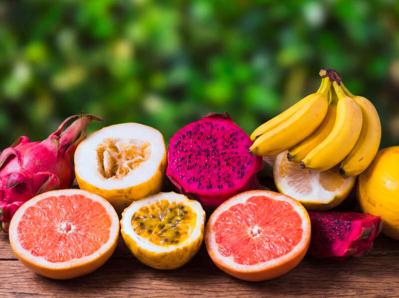 Misiones proyecta su fruticultura: 2025 cierra con planificación estratégica y se proyecta un 2026 enfocado en mercados, innovación y valor agregado imagen-2