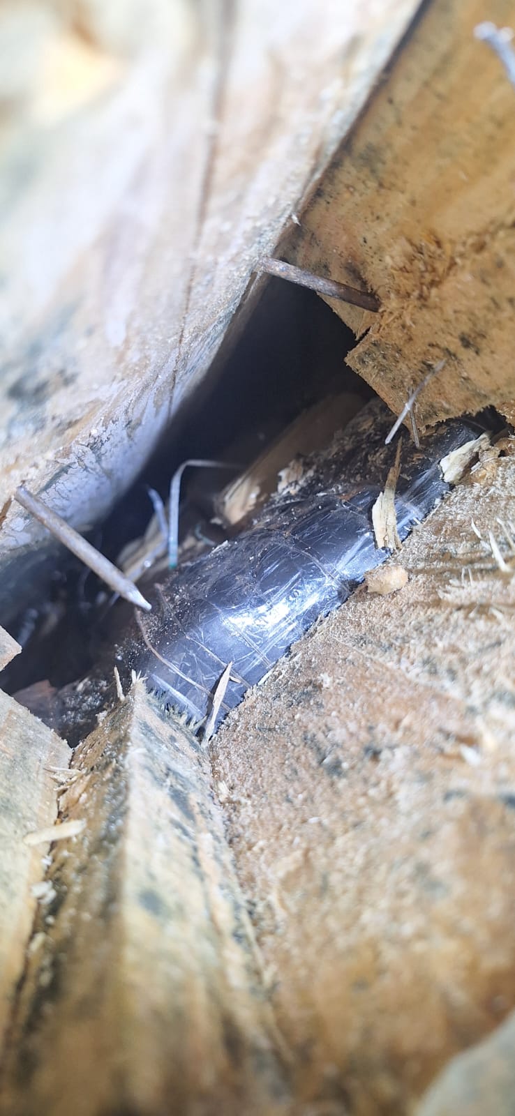 Armaron cofres con cargamento de madera para ocultar y trasladar más de siete toneladas de marihuana 11 Armaron cofres con cargamento de madera para ocultar y trasladar más de siete toneladas de marihuana imagen-10