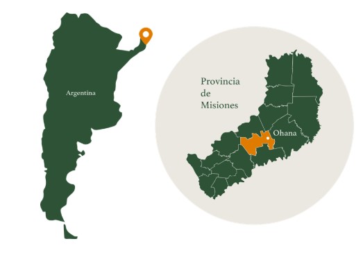 Misiones marca un hito nacional: crea el sistema más avanzado del país para controlar, proteger y dignificar la vida de la fauna silvestre imagen-6