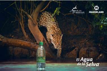 Aguas de las Misiones: trabajan en la consolidación de la marca en el NEA y el AMBA para luego apuntar al mercado extranjero imagen-8