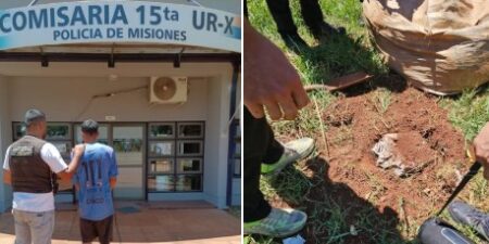 Acciones policiales en la provincia: allanamientos, detenidos y bienes recuperados imagen-7