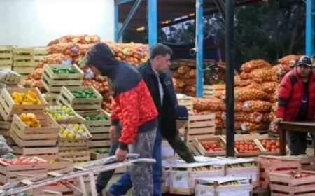 El Mercado Central de Misiones, con nuevos servicios, apuesta a la participación de más productores misioneros y beneficios para el consumidor imagen-2