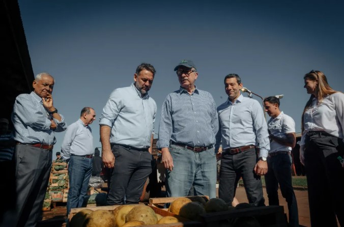 El Mercado Central de Misiones avanza con una obra estratégica que transformará su predio 3 El Mercado Central de Misiones avanza con una obra estratégica que transformará su predio imagen-2