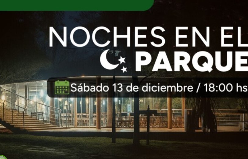 Salto Encantado: “Noches en el Parque”, una experiencia sensorial en la selva misionera Salto Encantado: “Noches en el Parque”, una experiencia sensorial en la selva misionera imagen-7