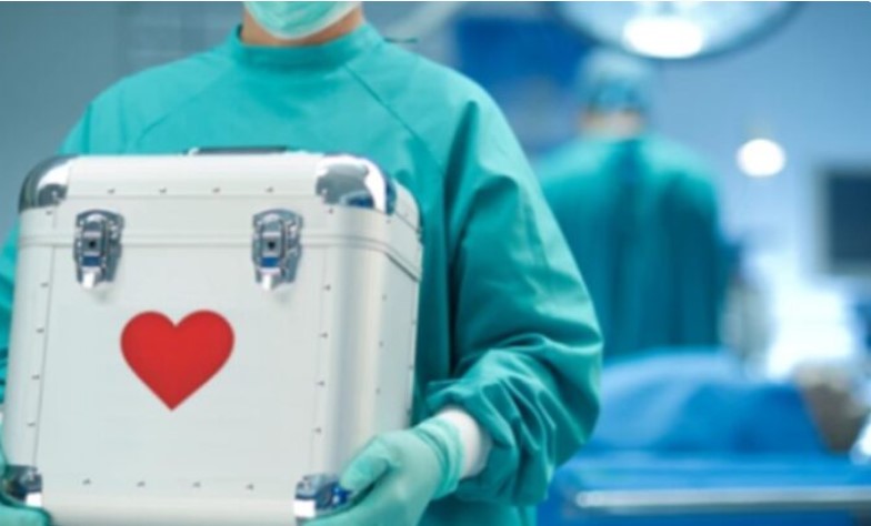 Argentina superó la cifra histórica de donantes de órganos y de trasplantes realizados en el país Argentina superó la cifra histórica de donantes de órganos y de trasplantes realizados en el país imagen-1