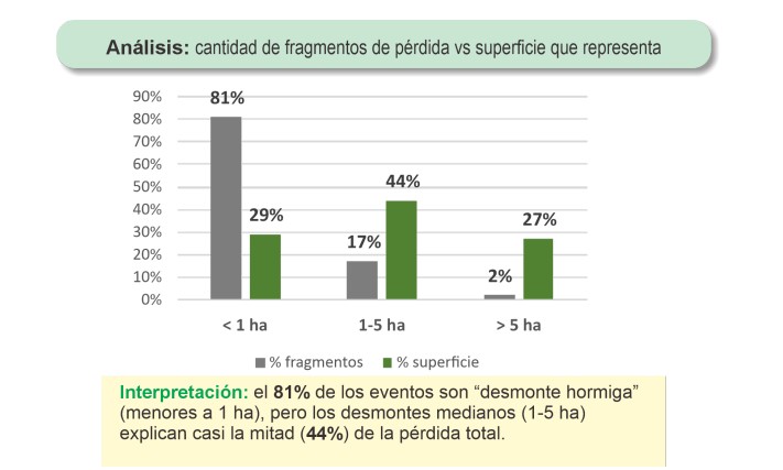 Destacan baja de la deforestación en 2025, de un 18% en Misiones imagen-2