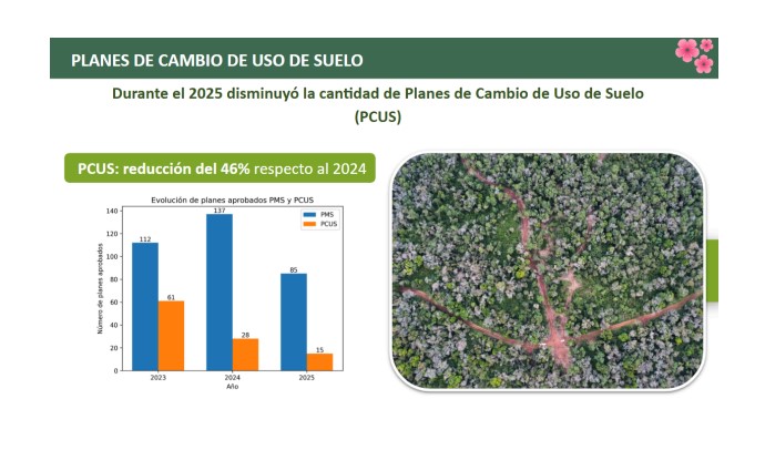 Destacan baja de la deforestación en 2025, de un 18% en Misiones imagen-4