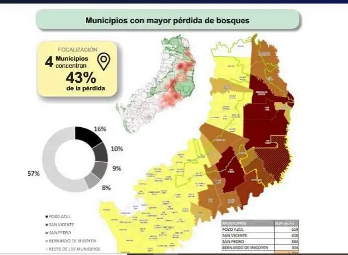 Destacan baja de la deforestación en 2025, de un 18% en Misiones imagen-14