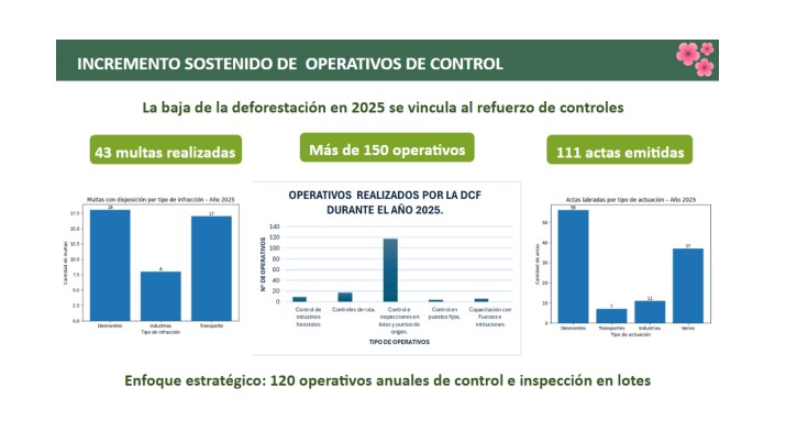 Destacan baja de la deforestación en 2025, de un 18% en Misiones imagen-8