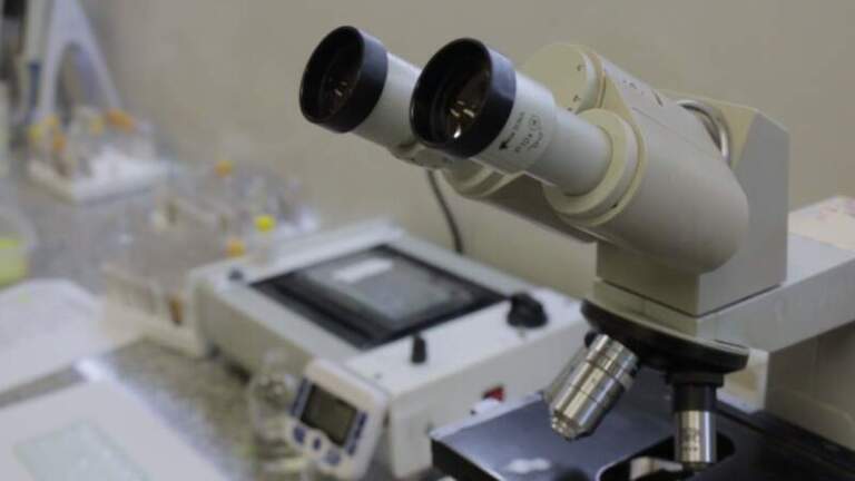 Laboratorio de Agudos del Madariaga: 650 mil determinaciones a más de 120 mil pacientes en 2025 imagen-35