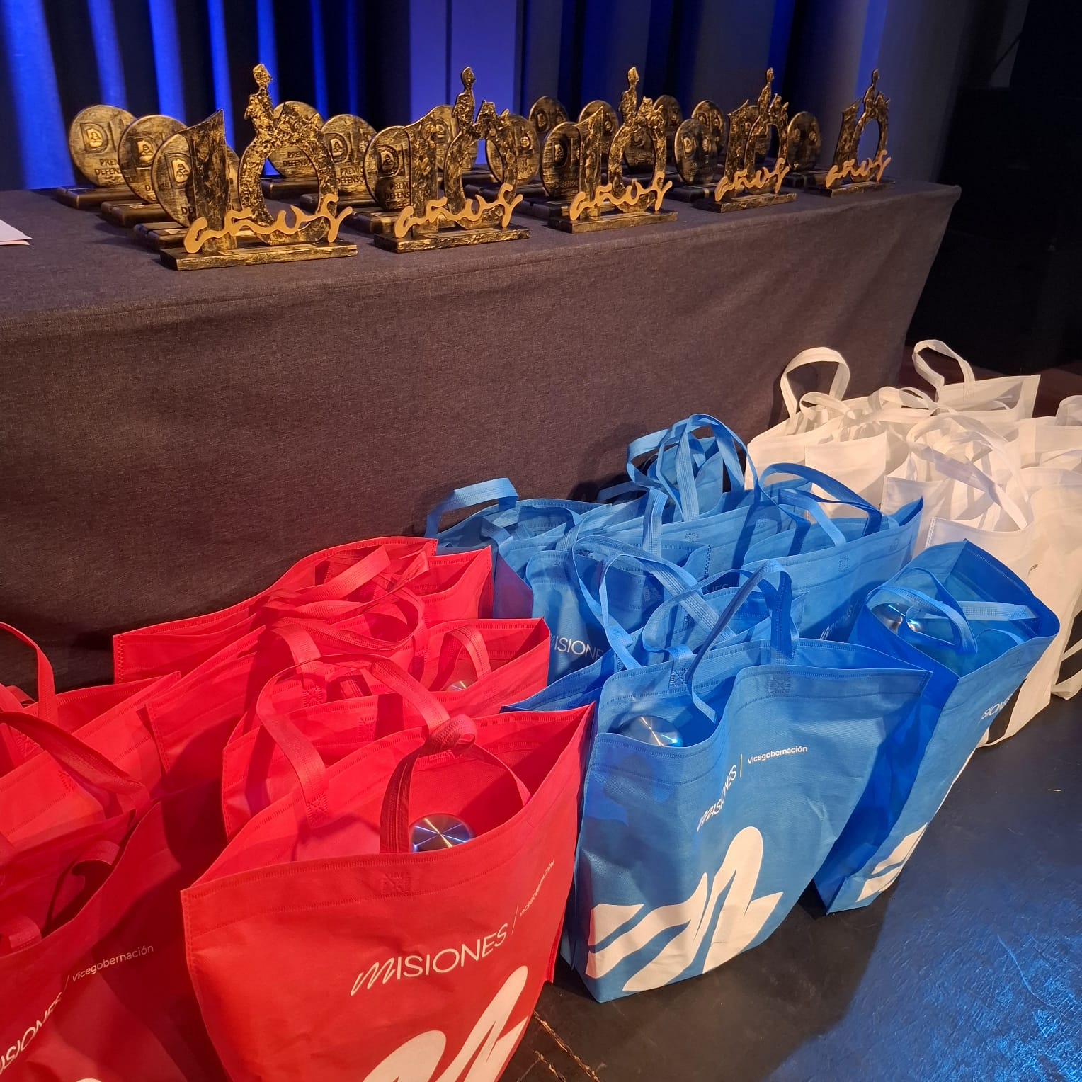 Entregaron los Premios Defensoría 2025, un reconocimiento a quienes se destacan en diversas disciplinas y en la promoción de los derechos de los NNyA 7 Entregaron los Premios Defensoría 2025, un reconocimiento a quienes se destacan en diversas disciplinas y en la promoción de los derechos de los NNyA imagen-6