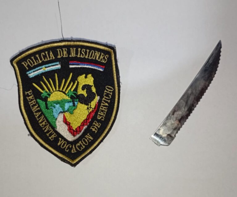 Gobernador Roca: Una gresca dejó una joven lesionada imagen-25