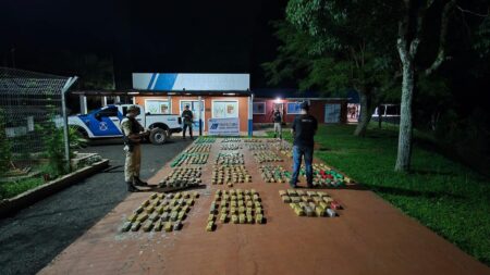 Prefectura incautó un cargamento de droga en el Alto Paraná valuado en más de $1.200 millones imagen-4