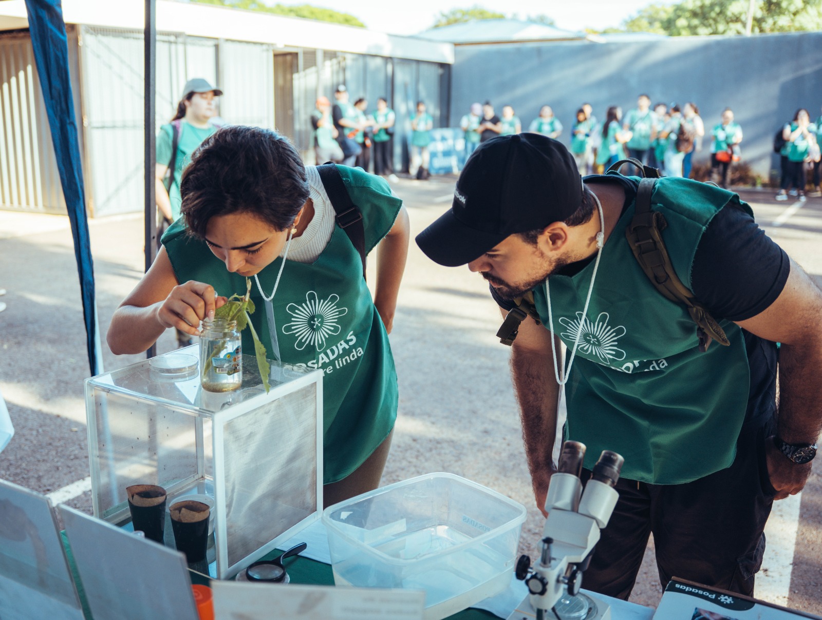 Prevención contra el Aedes aegypti: con el 42do Operativo LIRAa se estima alcanzar las 6.500 viviendas imagen-2