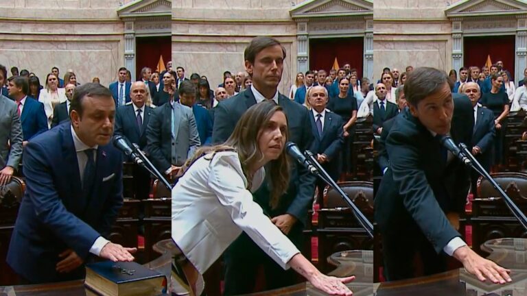 Congreso: juraron los Diputados Nacionales por Misiones Herrera Ahuad, Hartfield y Gruber imagen-47