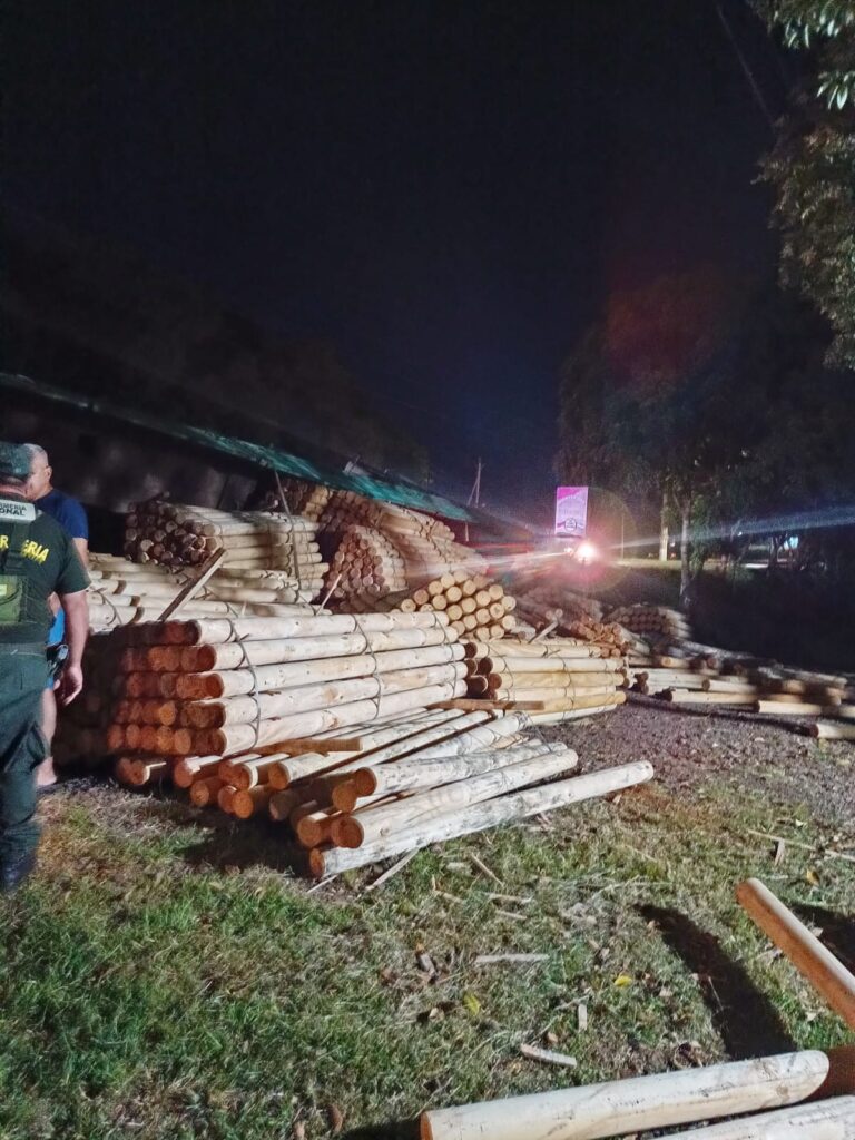 Camión cargado con madera volcó en la banquina de la Ruta Provincial 13 Camión cargado con madera volcó en la banquina de la Ruta Provincial 13 imagen-19