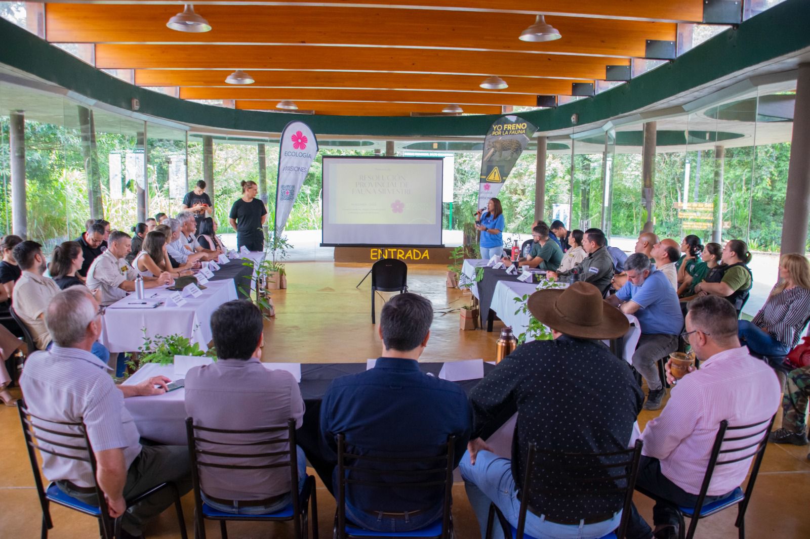 Misiones trabaja en una nueva normativa integral y actualizada para la preservación de la fauna silvestre imagen-11