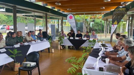 Misiones trabaja en una nueva normativa integral y actualizada para la preservación de la fauna silvestre Misiones trabaja en una nueva normativa integral y actualizada para la preservación de la fauna silvestre imagen-3