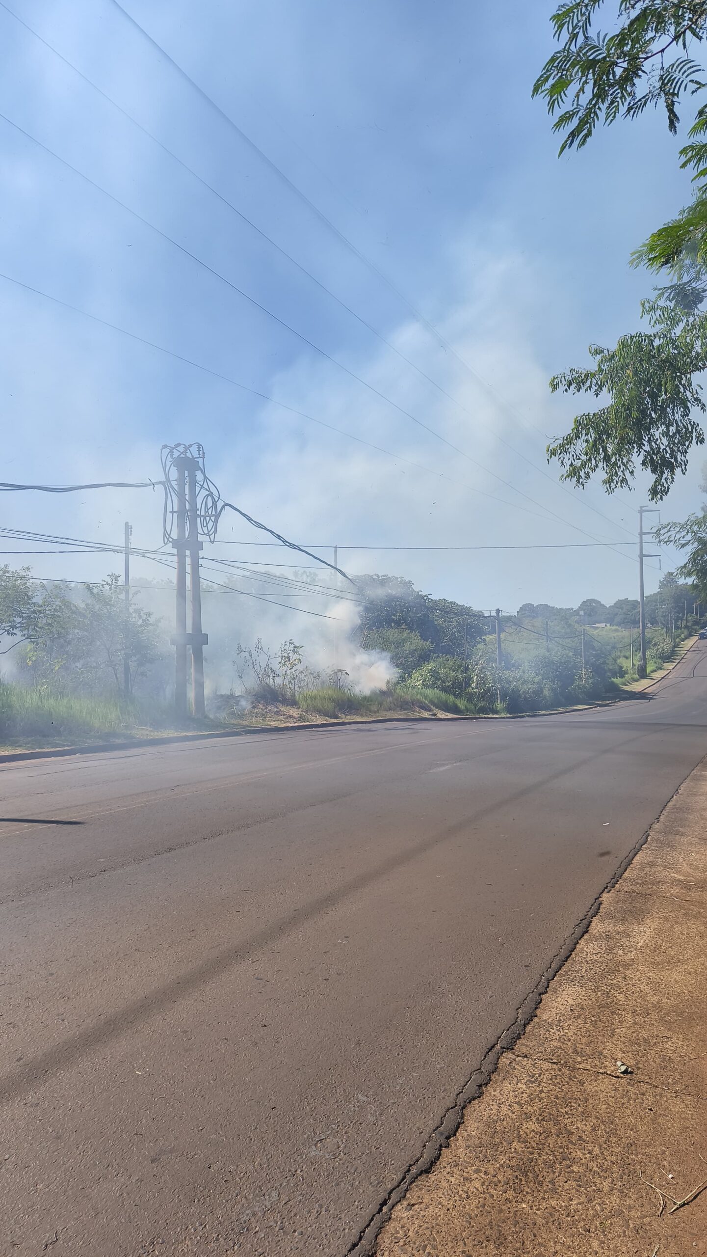 Bomberos controlaron un incendio de malezas en Posadas 3 Bomberos controlaron un incendio de malezas en Posadas imagen-2