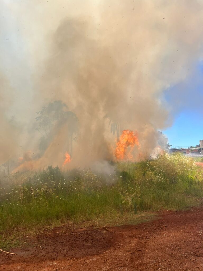 Oberá: se quemaron más de 7 hectáreas en un descampado del barrio de Punta Alta imagen-6