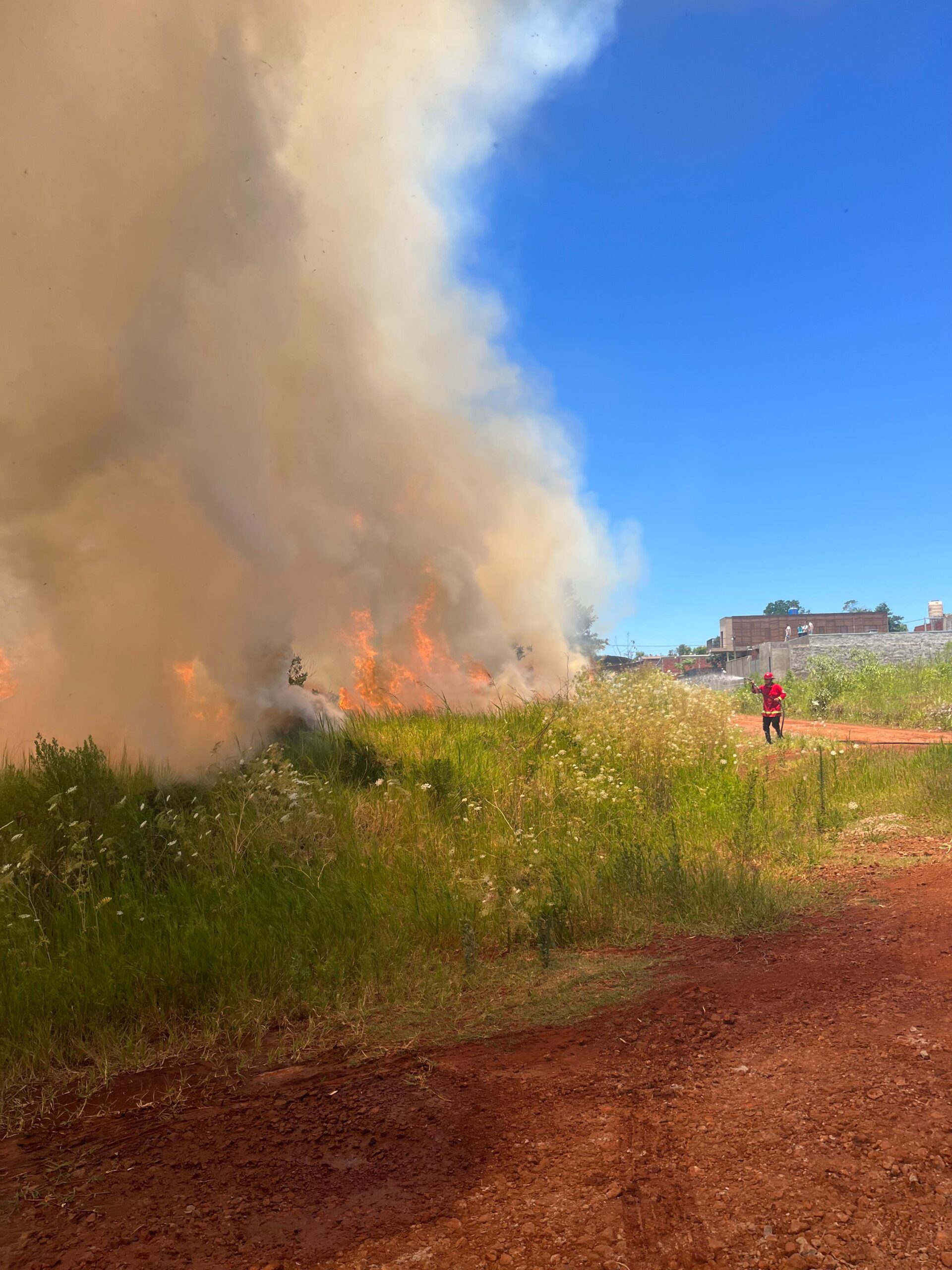 Oberá: se quemaron más de 7 hectáreas en un descampado del barrio de Punta Alta 5 Oberá: se quemaron más de 7 hectáreas en un descampado del barrio de Punta Alta imagen-4