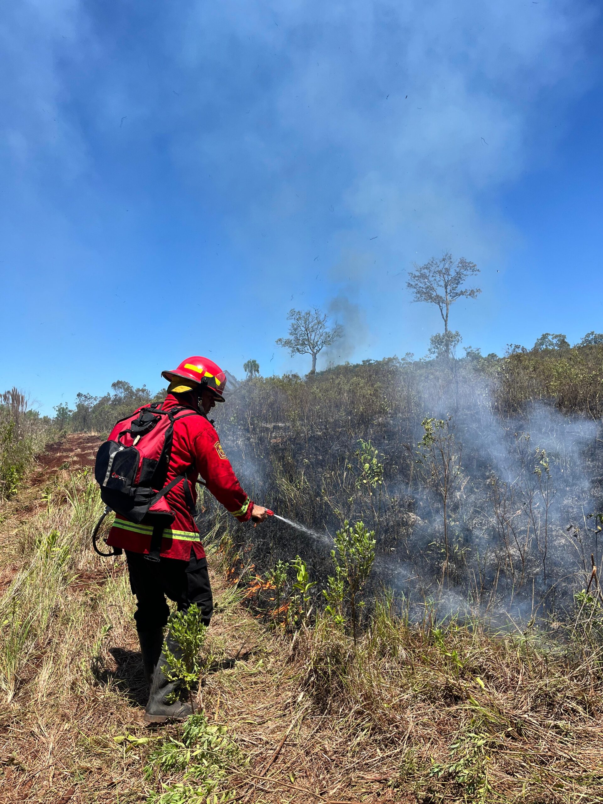 Oberá: se quemaron más de 7 hectáreas en un descampado del barrio de Punta Alta 7 Oberá: se quemaron más de 7 hectáreas en un descampado del barrio de Punta Alta imagen-6