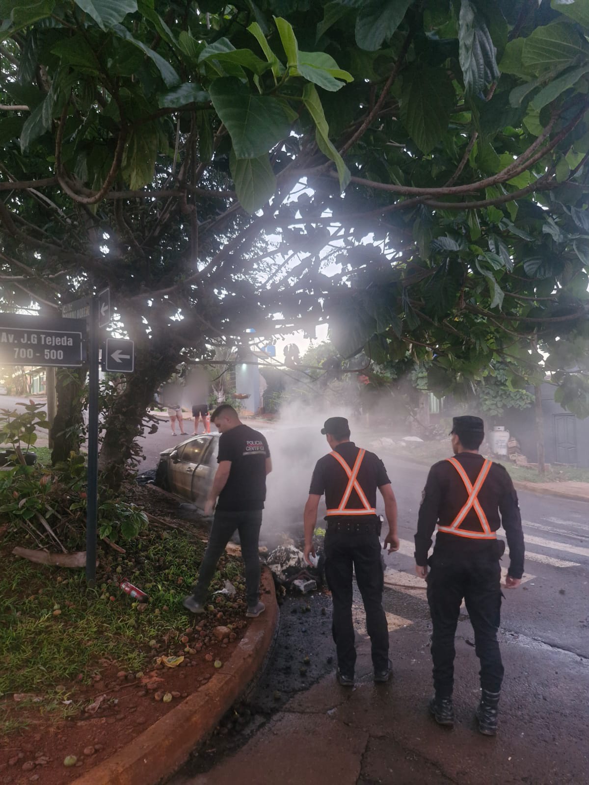 Un auto se incendió durante la madrugada en San Vicente imagen-2