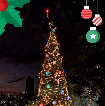 La Navidad ilumina Posadas con un doble encendido lleno de magia imagen-9