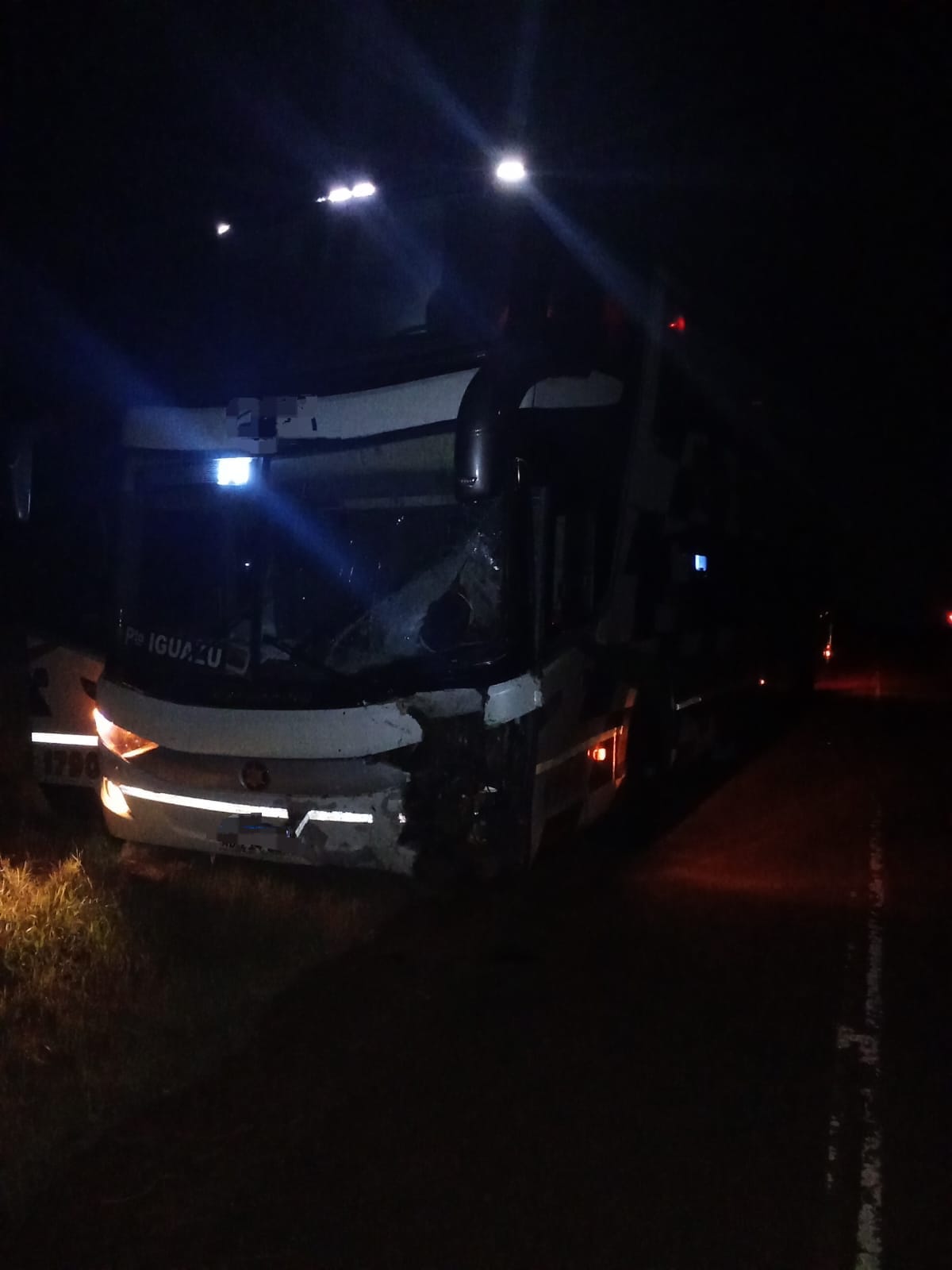 Siniestro fatal en la Ruta Nacional 12: dos personas fallecidas imagen-6