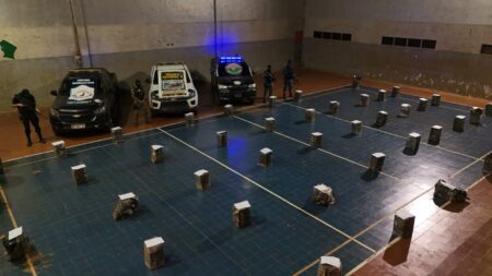 Más de 4.900 millones de pesos en marihuana secuestrada tras la detención de un narco en Andresito Más de 4.900 millones de pesos en marihuana secuestrada tras la detención de un narco en Andresito imagen-4