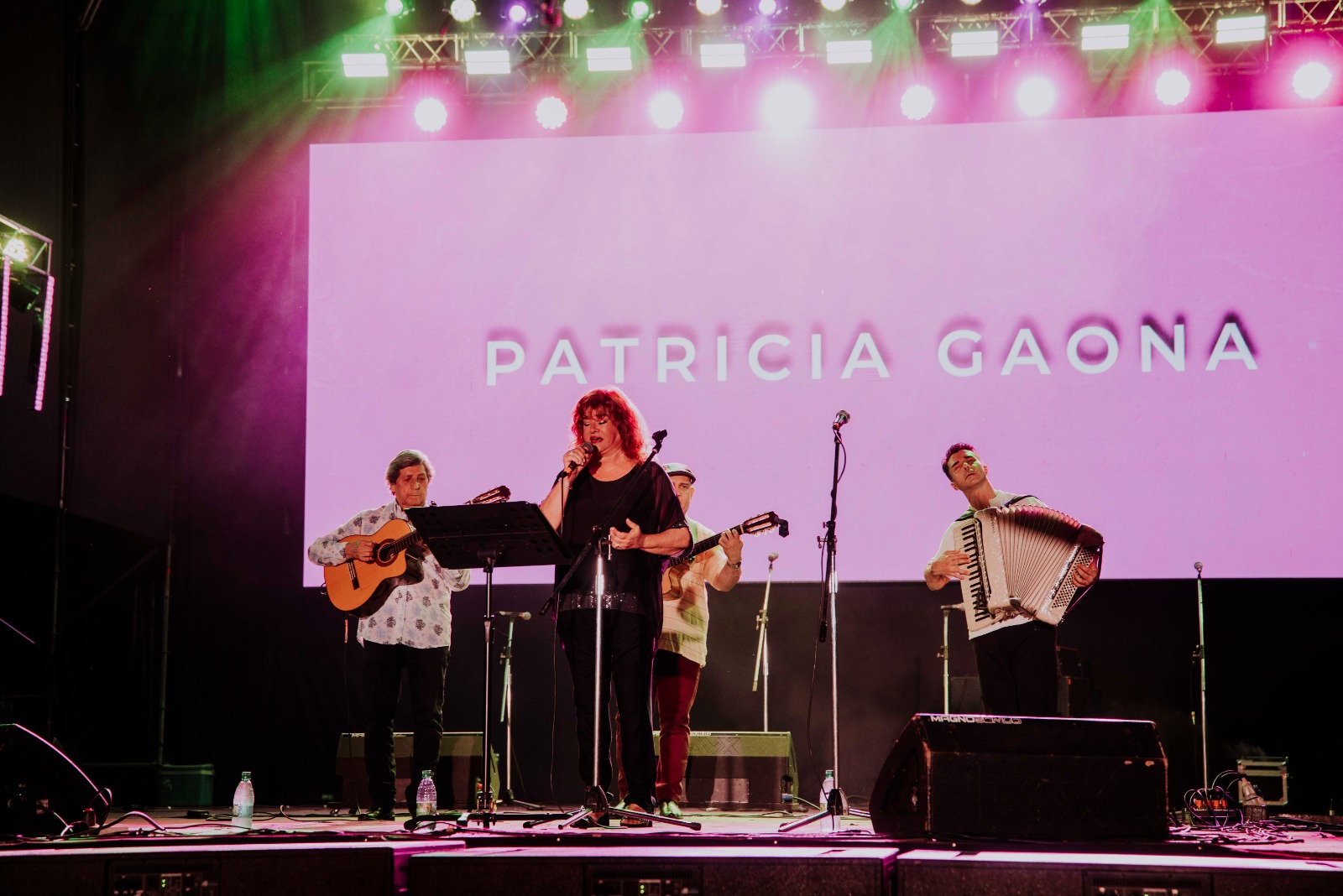 Festival Nacional de la Música del Litoral y del Mercosur: Catherine Vergnes, Los Núñez y Destino San Javier fueron los picos altos de la noche inaugural imagen-2