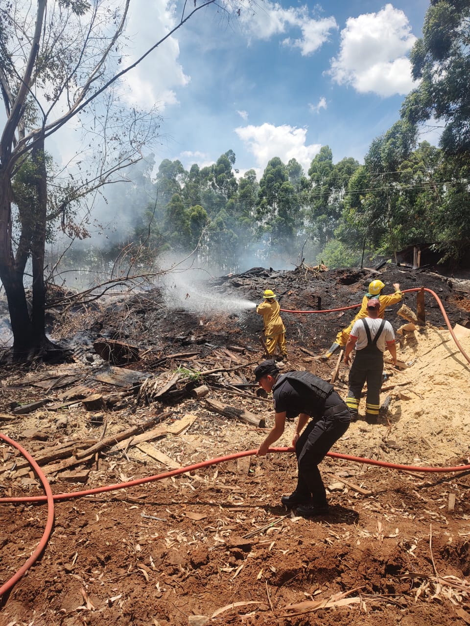 Controlan un principio de incendio en un aserradero de San Vicente imagen-2