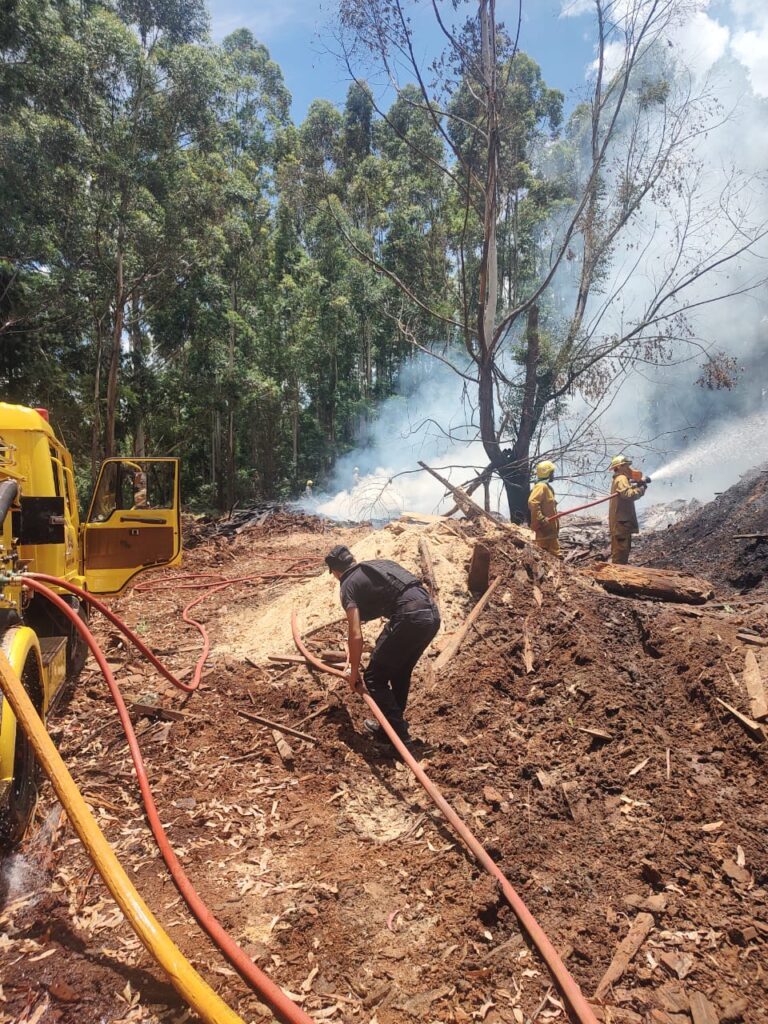 Controlan un principio de incendio en un aserradero de San Vicente imagen-42