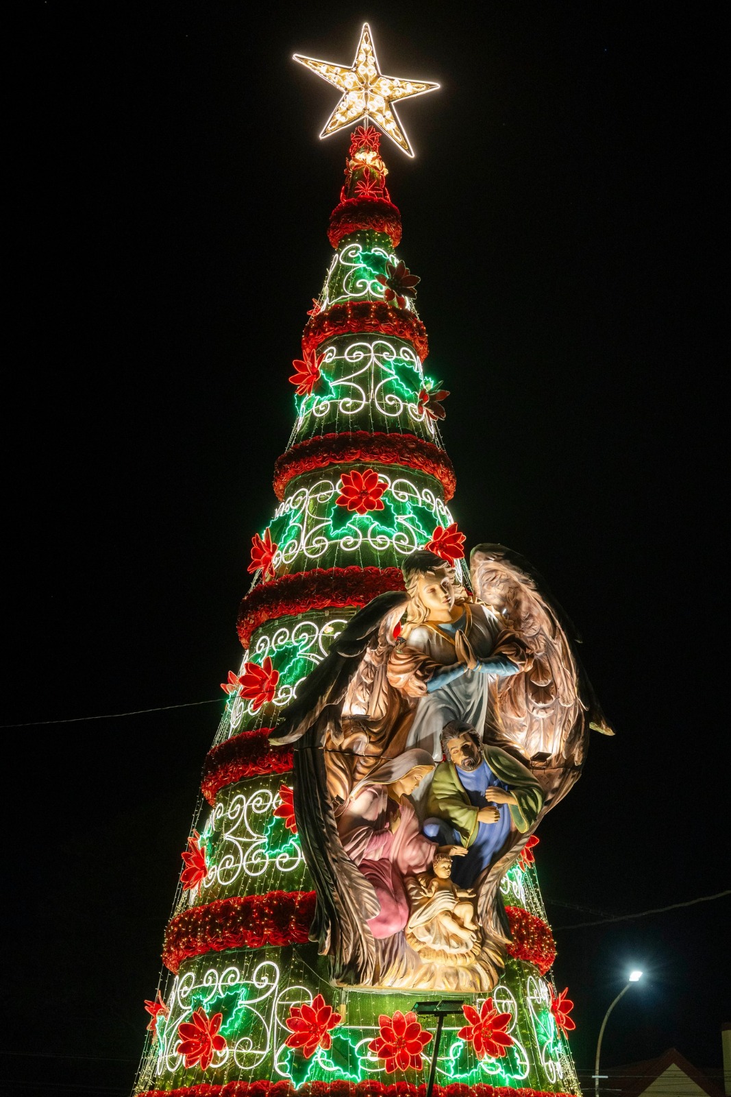Comienza la fiesta más grande de la Navidad de la Argentina 5 Comienza la fiesta más grande de la Navidad de la Argentina imagen-4
