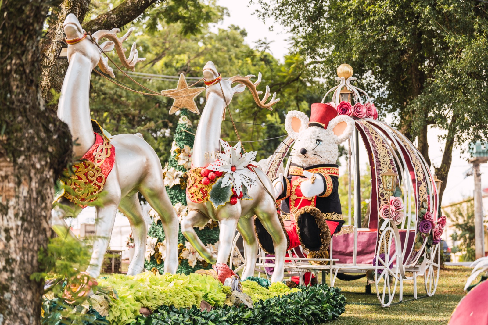 Comienza la fiesta más grande de la Navidad de la Argentina 7 Comienza la fiesta más grande de la Navidad de la Argentina imagen-6