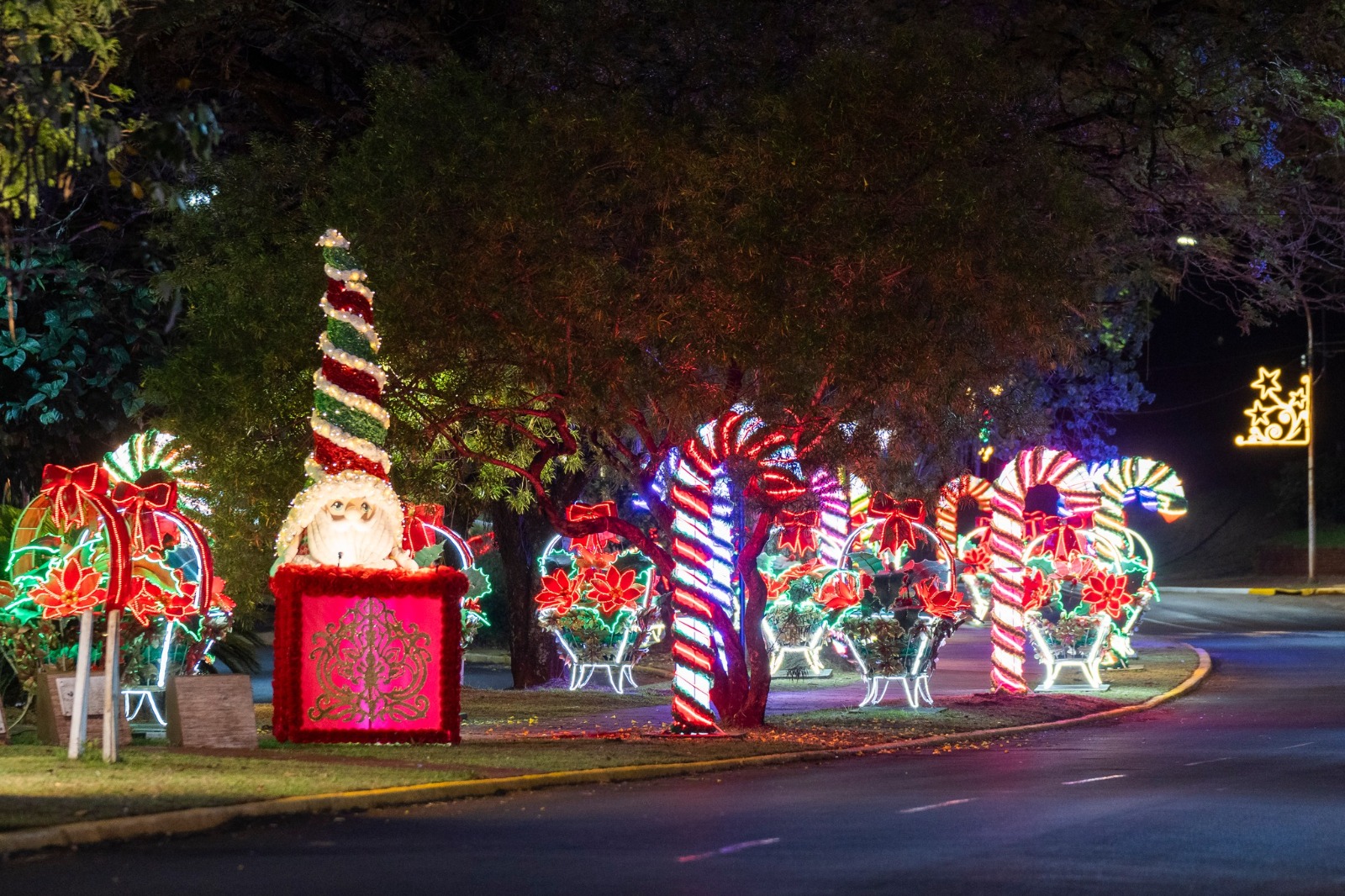 Comienza la fiesta más grande de la Navidad de la Argentina 15 Comienza la fiesta más grande de la Navidad de la Argentina imagen-14