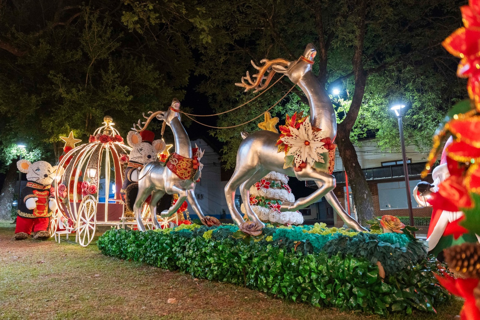 Comienza la fiesta más grande de la Navidad de la Argentina 21 Comienza la fiesta más grande de la Navidad de la Argentina imagen-20
